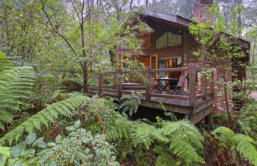 Woodlands Rainforest Retreat Villa Narbethong Exterior photo