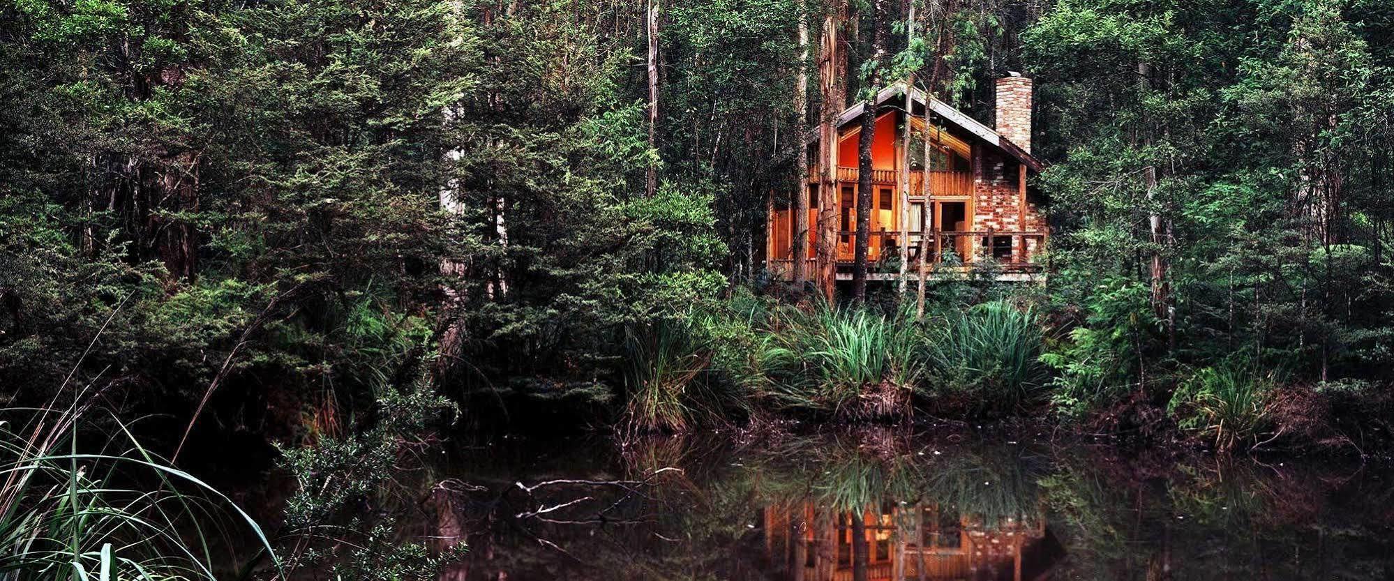 Woodlands Rainforest Retreat Villa Narbethong Exterior photo